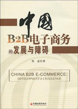 中国B2B电子商务的发展与障碍 pdf epub mobi 电子书 下载