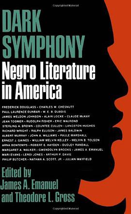 Dark Symphony pdf epub mobi 电子书 下载