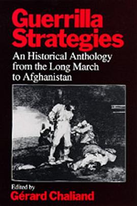 Guerrilla Strategies pdf epub mobi 电子书 下载