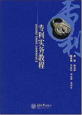 专利实务教程 pdf epub mobi 电子书 下载