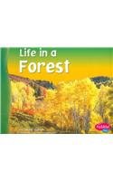Life in a Forest pdf epub mobi 电子书 下载