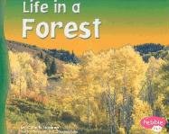 Life in a Forest pdf epub mobi 电子书 下载