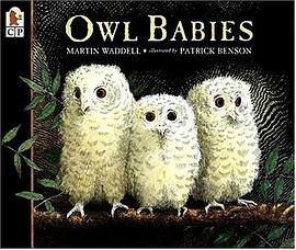 Owl Babies pdf epub mobi 电子书 下载