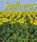 Sunflowers pdf epub mobi 电子书 下载