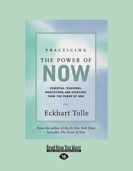 Practicing the Power of Now (EasyRead Large Edition) pdf epub mobi 电子书 下载