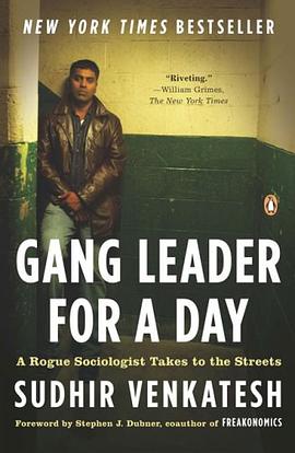 Gang Leader for a Day pdf epub mobi 电子书 下载