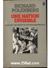 One Nation Divisible: Class， Race， and Ethnicity in the United States Since 1930 pdf epub mobi 电子书 下载