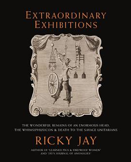 Extraordinary Exhibitions pdf epub mobi 电子书 下载