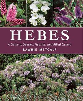 Hebes pdf epub mobi 下载