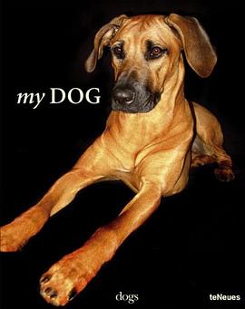 MY DOG pdf epub mobi 电子书 下载