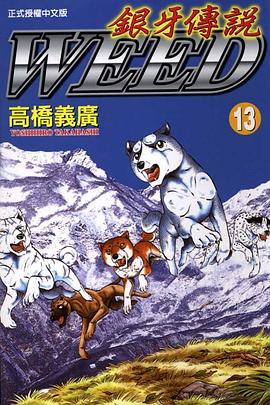 銀牙傳說13 pdf epub mobi 电子书 下载