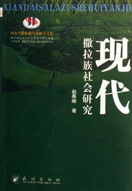 现代撒拉族社会研究 pdf epub mobi 电子书 下载
