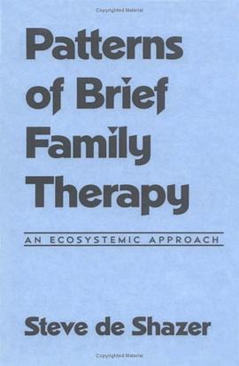 Patterns of Brief Family Therapy pdf epub mobi 电子书 下载