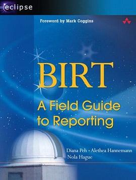 BIRT pdf epub mobi 電子書 下載