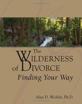 Wilderness of Divorce pdf epub mobi 電子書 下載