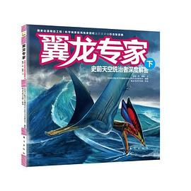 翼龙专家（下） pdf epub mobi 电子书 下载