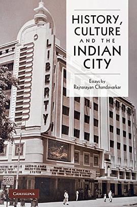 History, Culture and the Indian City pdf epub mobi 电子书 下载