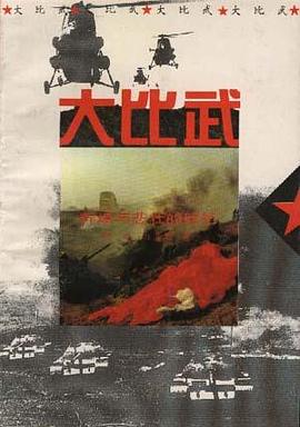 大比武--辉煌与悲壮的回忆 pdf epub mobi 下载