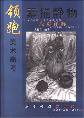 领跑美术高考素描静物应对详解 pdf epub mobi 电子书 下载