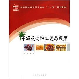 干燥花制作工艺与应用 pdf epub mobi 下载