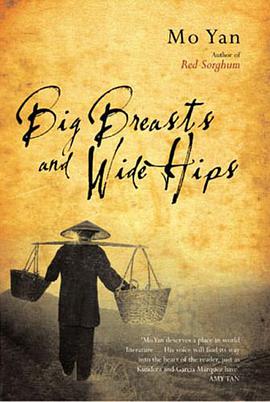 Big Breasts and Wide Hips pdf epub mobi 下载