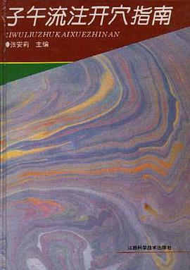 子午流注开穴指南 pdf epub mobi 电子书 下载