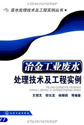 冶金工业废水处理技术及工程实例