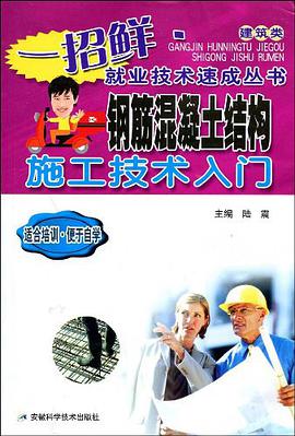 钢筋混凝土结构施工技术入门 pdf epub mobi 电子书 下载