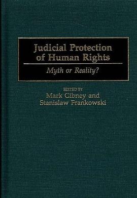 Judicial Protection of Human Rights pdf epub mobi 电子书 下载