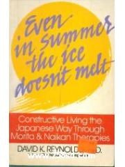 Even in Summer the Ice Doesn't Melt pdf epub mobi 电子书 下载