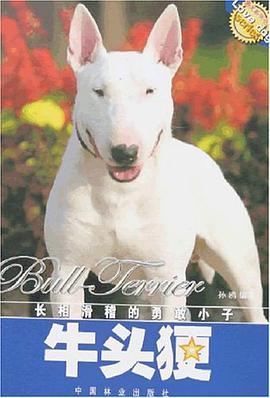 牛头囗长相滑稽的勇敢小子 pdf epub mobi 电子书 下载