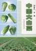 中国大白菜 pdf epub mobi 下载