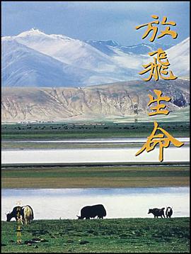 放飞生命 pdf epub mobi 电子书 下载