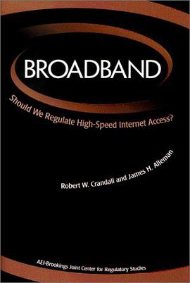 Broadband pdf epub mobi 电子书 下载