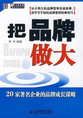 把品牌做大 pdf epub mobi 电子书 下载