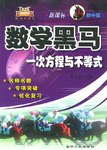 一次方程与不等式·数学黑马.初中数学专项突破 pdf epub mobi 电子书 下载