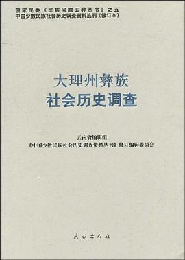 大理州彝族社会历史调查 pdf epub mobi 电子书 下载