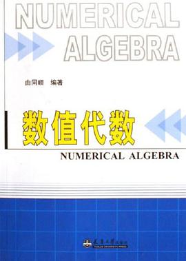 数值代数 pdf epub mobi 电子书 下载