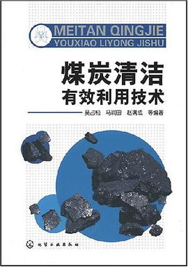 煤炭清洁有效利用技术 pdf epub mobi 电子书 下载