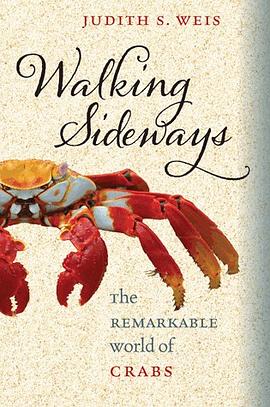 Walking Sideways pdf epub mobi 电子书 下载