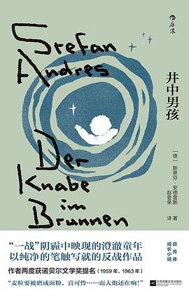 井中男孩 pdf epub mobi 电子书 下载