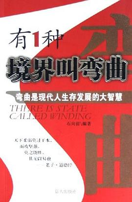 有1种境界叫弯曲 pdf epub mobi 电子书 下载