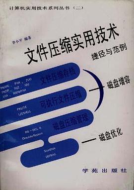 微机内存与磁盘高级使用技巧--计算机实用技术系列丛书 pdf epub mobi 电子书 下载
