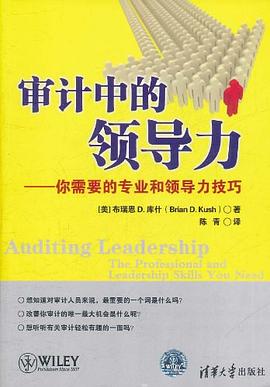 審計中的領導力 pdf epub mobi 電子書 下載