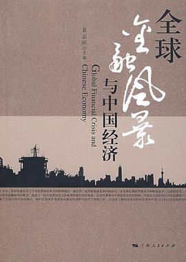 全球金融风暴与中国经济 pdf epub mobi 电子书 下载