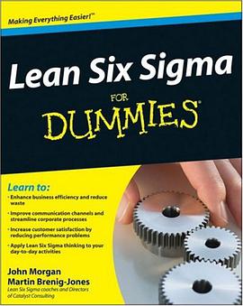 Lean Six Sigma for Dummies pdf epub mobi 电子书 下载