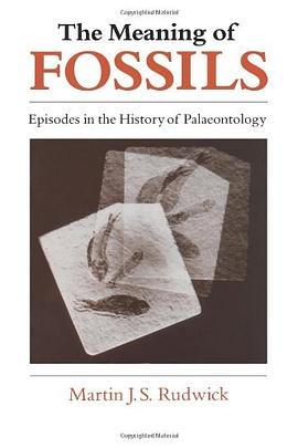 The Meaning of Fossils pdf epub mobi 电子书 下载