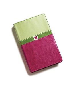 Amplified Bible (New International Version, Melon Green/fuschia, Italian Duo-tone) pdf epub mobi 电子书 下载