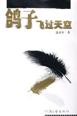 鸽子飞过天空 pdf epub mobi 电子书 下载