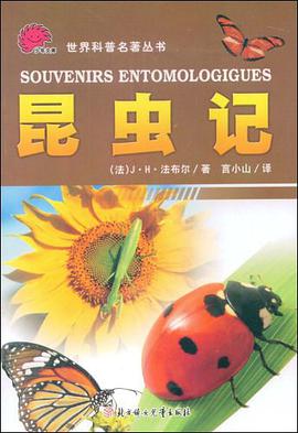 时间隧道 pdf epub mobi 电子书 下载
